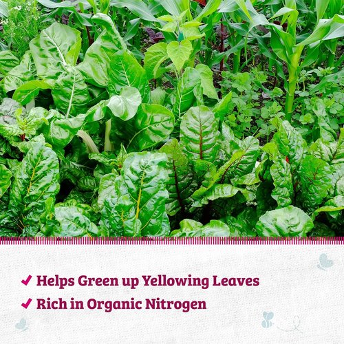 Back to the Roots 100% Organic Blood Meal - Premium Plant Nutrition for Indoor & Outdoor Gardening