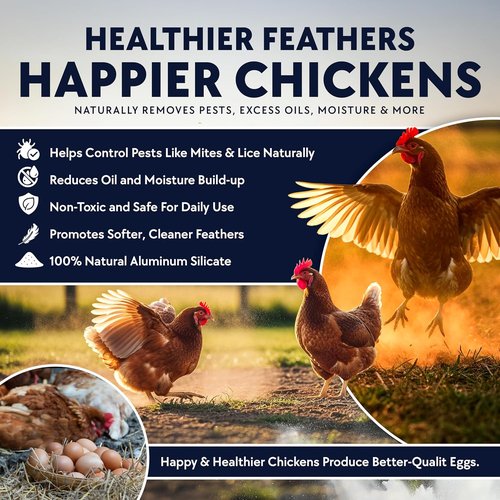 Billy Buckskin Co. Chickie-Whiz Chicken Dust Bath - All-Natural Volcanic Ash for Healthier Eggs & Feathers | 5.5lb Made in USA