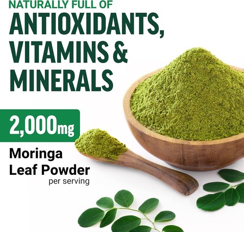 Force Factor Modern Moringa Powder - Boost Energy, Vitality & Immune Health | 30 Servings, Naturally Unflavored