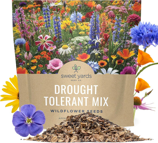 Wildflower Seed Mix by Drought Tolerant - Extra Large Packet with 7,500 Non-GMO Seeds - 21 Dryland Species