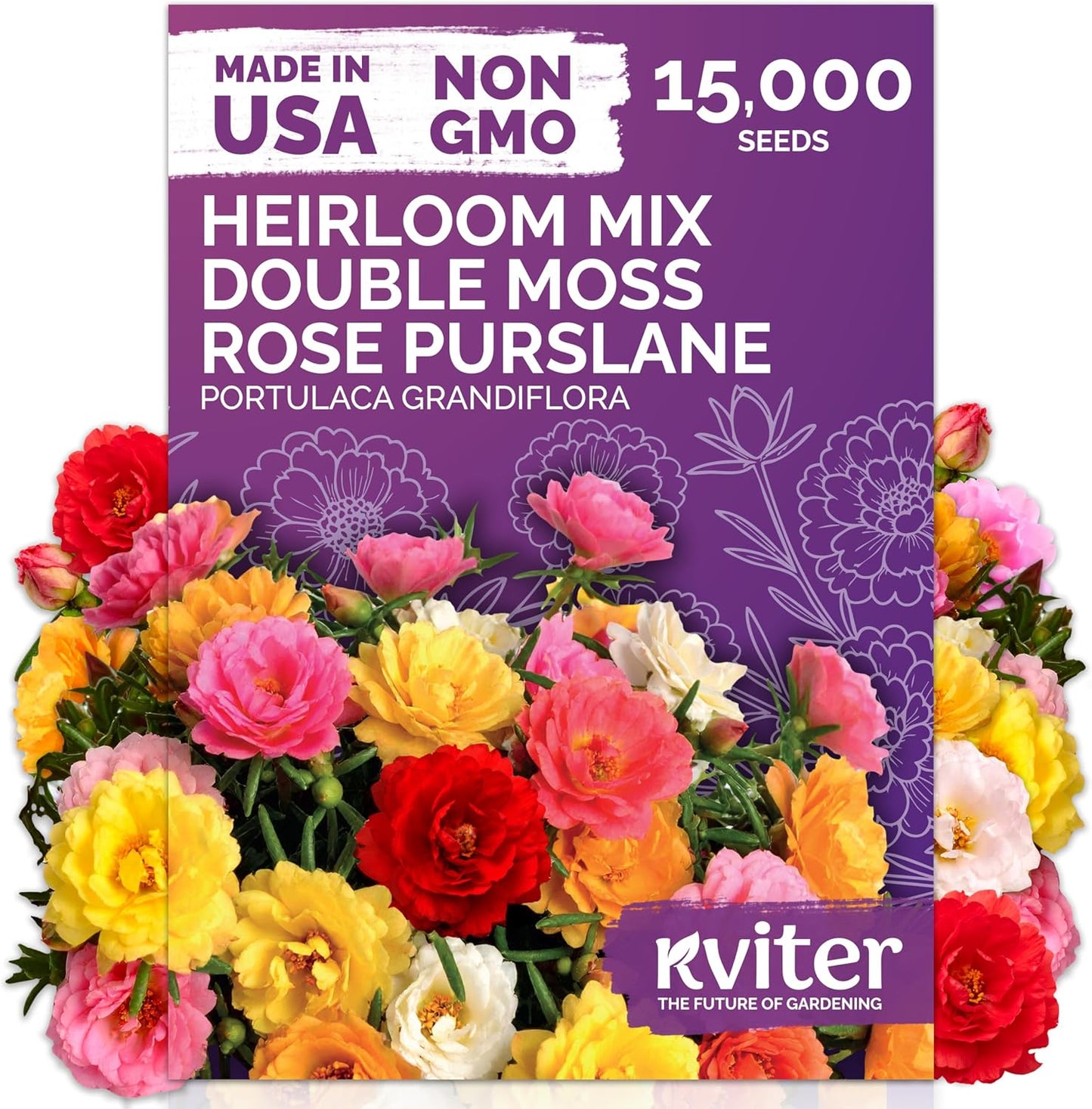KVITER 15,000 Mix Moss Rose Seeds - Heirloom Flowering Ground Cover for Vibrant Gardens | Portulaca Grandiflora