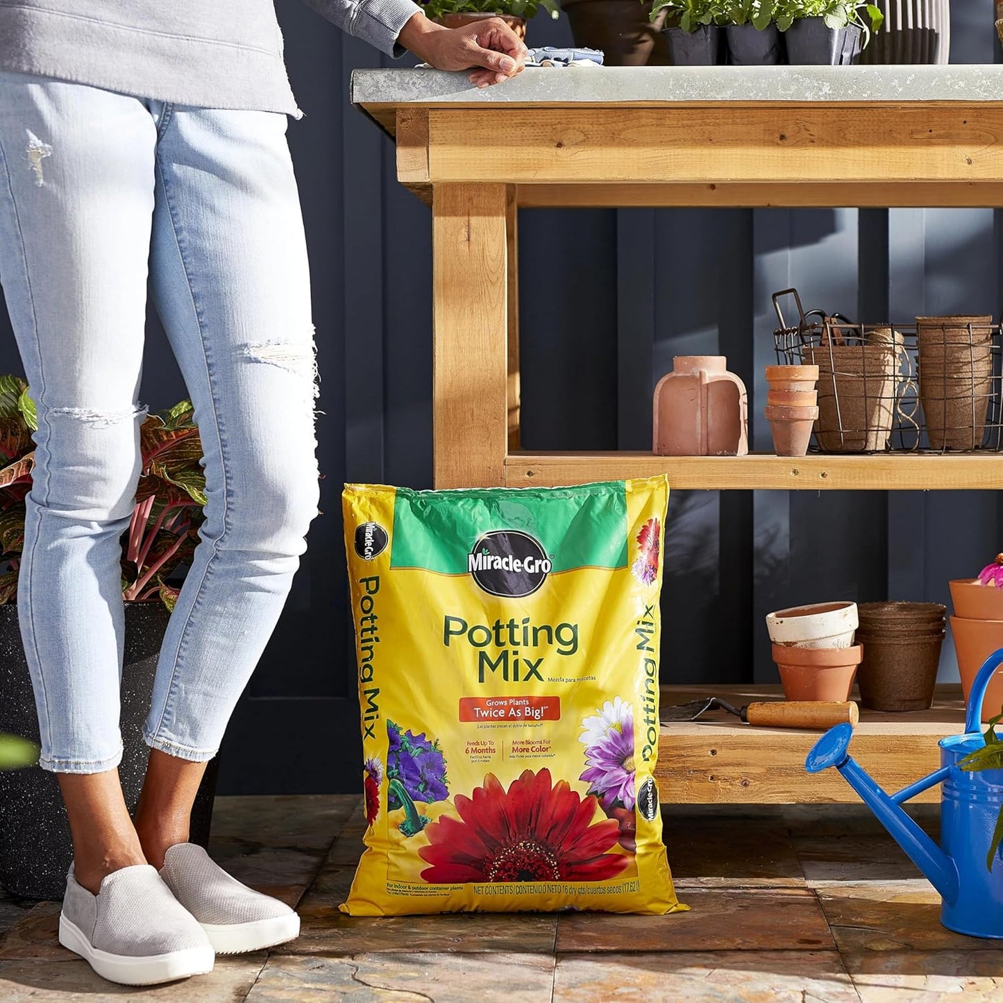Miracle-Gro Potting Mix - Premium Soil for Container Plants & Flowers | Feeds for 6 Months, 16 qt (2-Pack)