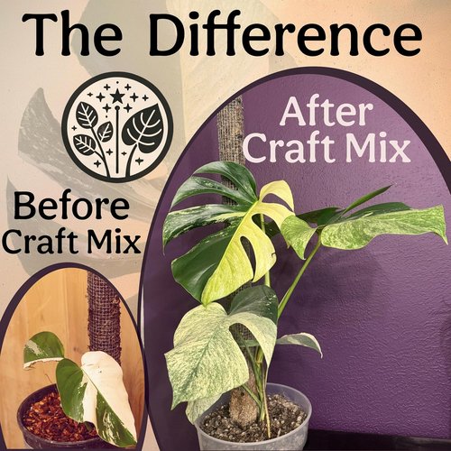Craft Aroid Potting Mix - Elite Organic Soil for Alocasia, Philodendron & Monstera | Well-Draining, Peat-Free 4QT