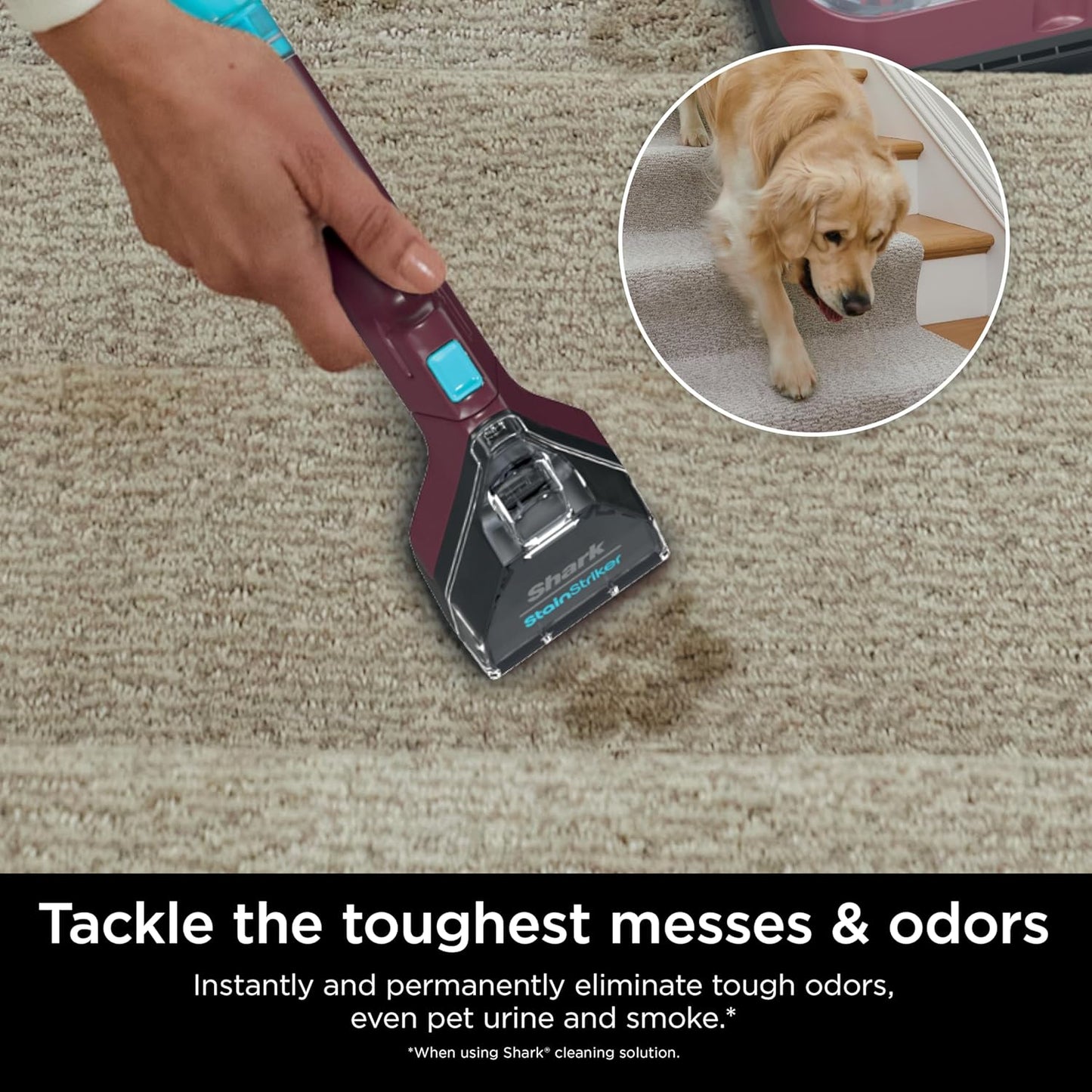 Shark Carpet Cleaner Machine - Portable Upholstery Stain Remover with 2 Solutions & 3 Tools | Ideal for Pet Hair, Burgundy