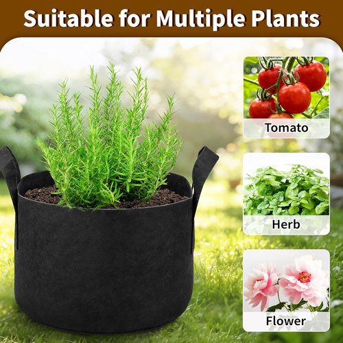 Grow Bags by [Brand Name] | 1 Gallon Heavy Duty 300g Nonwoven Fabric Pots - Breathable & Reinforced Handles - Black (6 Pack)