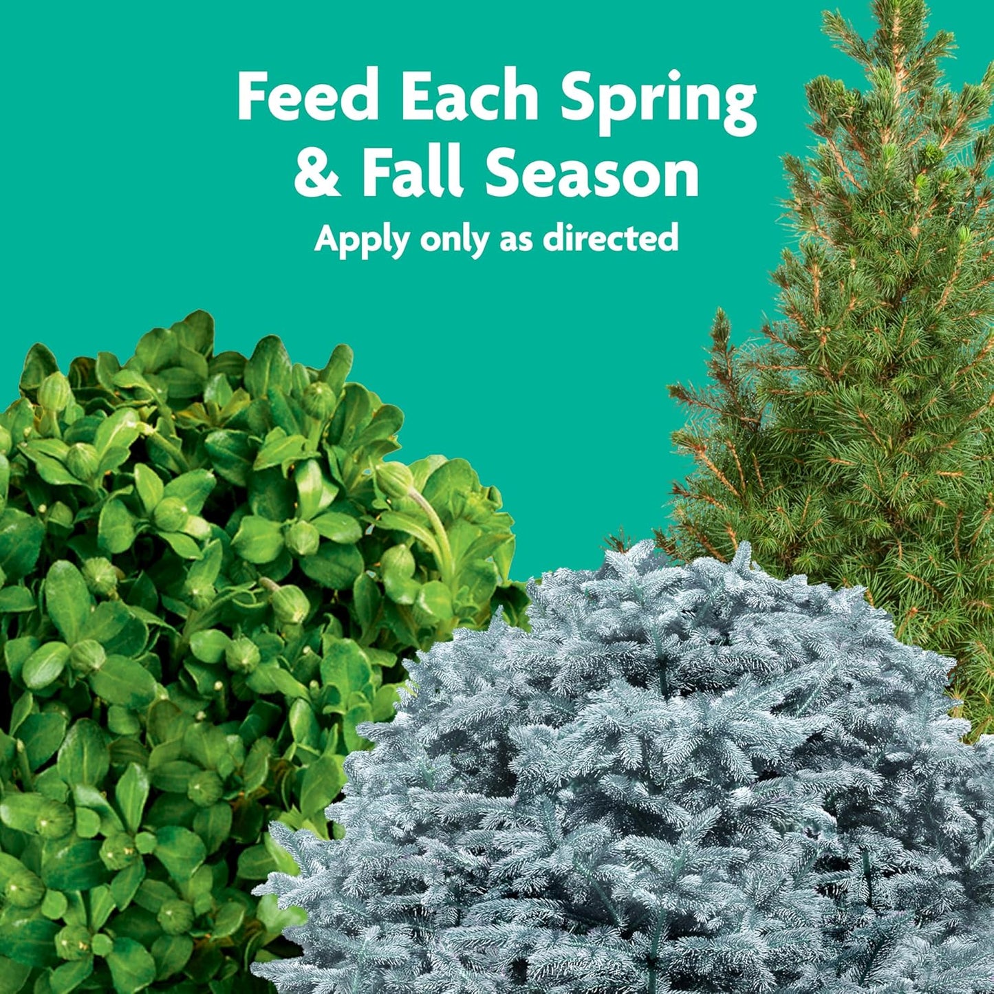 Miracle-Gro Shake 'N Feed Plant Food - Nourishes Flowering Trees & Shrubs | 8 lbs for In-Ground & Container Plants