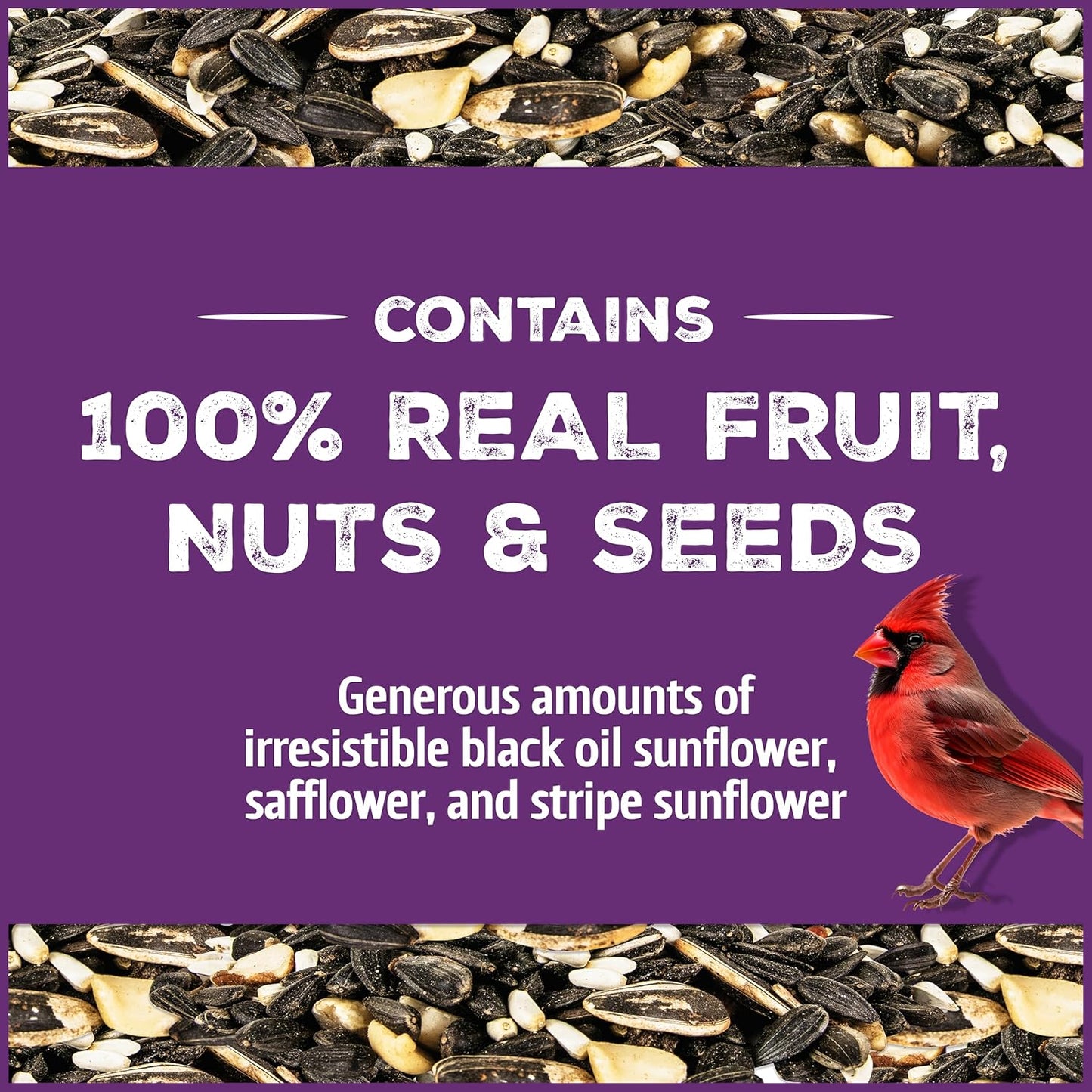 Pennington Pride Songbird Nut & Fruit Blend - Advanced Nutrition Wild Bird Seed, 10 lb Bag