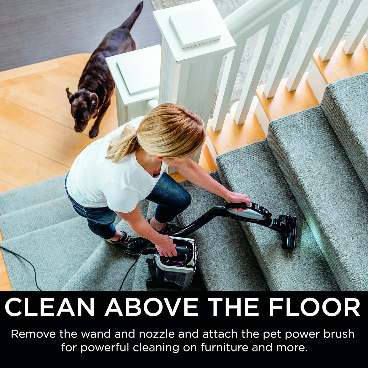 Shark NV752 Rotator Vacuum - Powered Lift-Away with HEPA Filter, Large Dust Cup & LED Headlights | Bordeaux