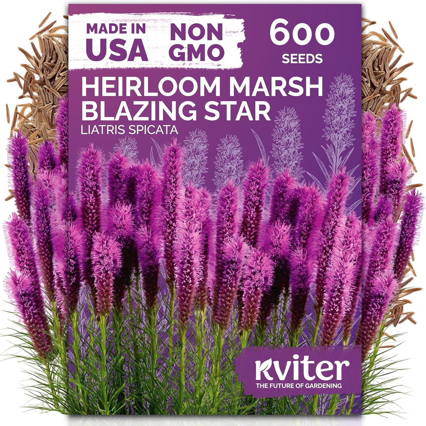 KVITER 600 Marsh Blazing Star Seeds - Heirloom Liatris Spicata for Vibrant Perennial Gardens