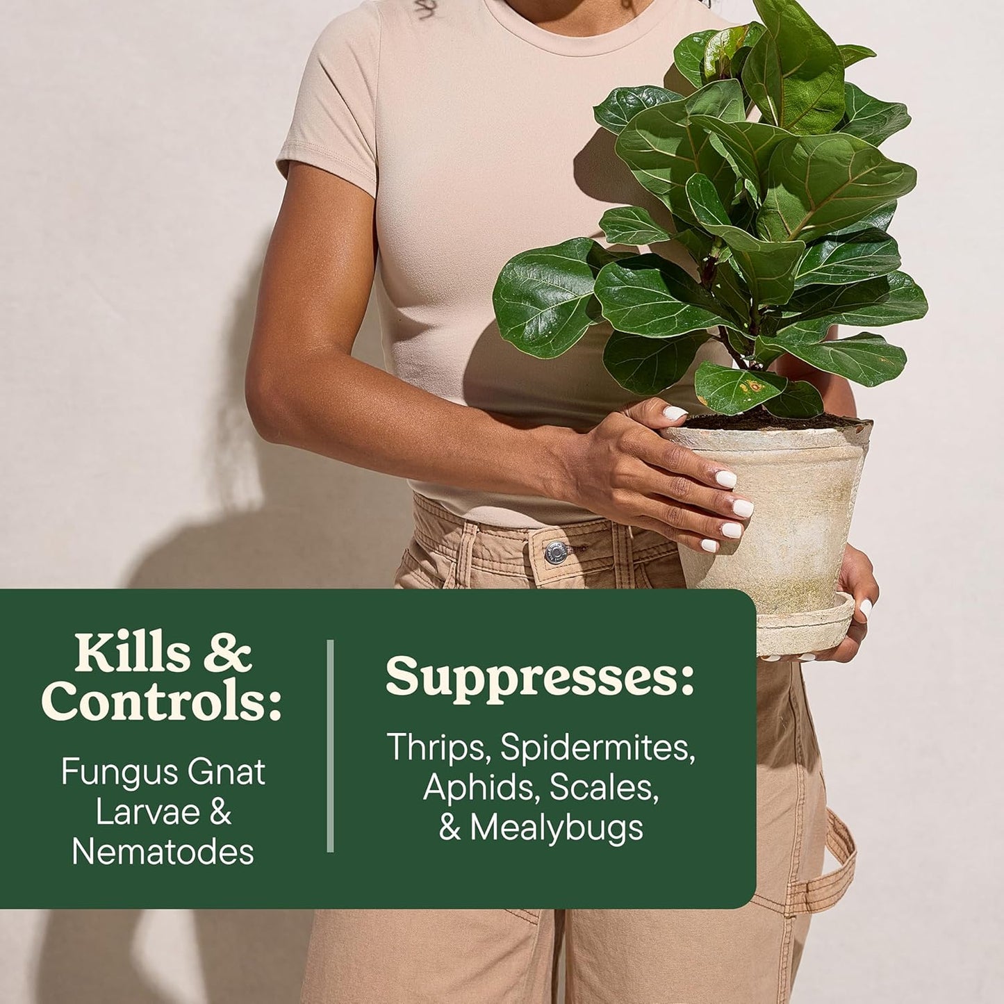 Miracle-Gro Gnat Control Plus Plant Food - Effective Indoor & Outdoor Plant Care | 4 Packets