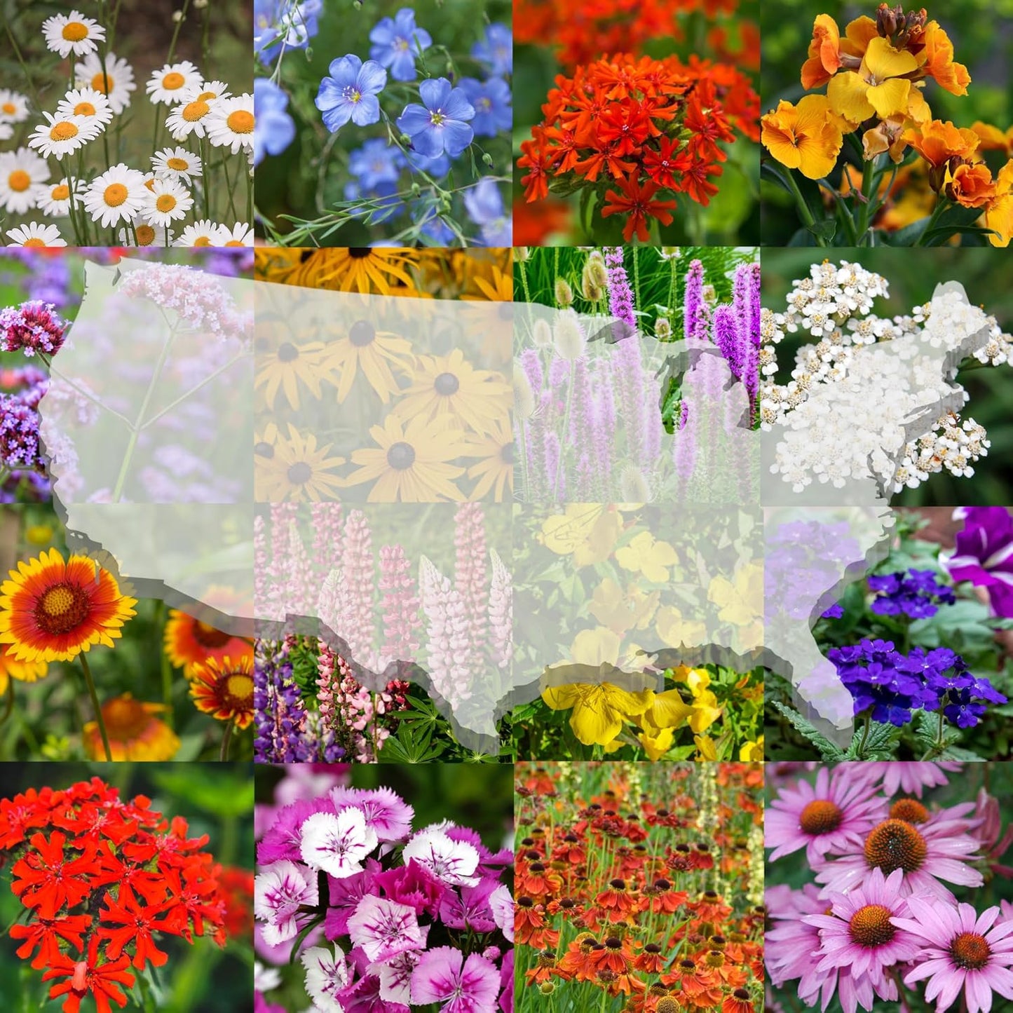 United States Nationwide Bulk Wildflower Seed Mix - Ideal for All U.S. Zones | Covers 2,000 Sq Ft (1 Pound)