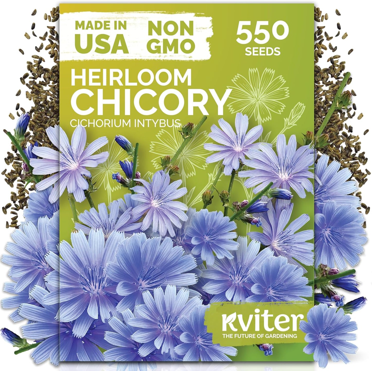 KVITER 550 Chicory Seeds - Heirloom Cichorium Intybus for Planting | Bulk Wildflower Seed Packets