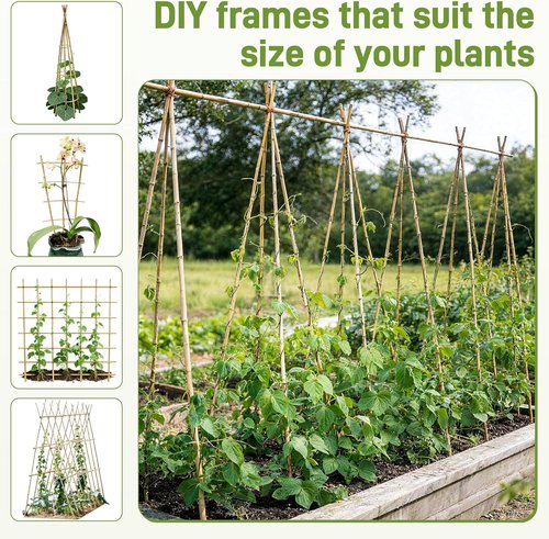 Bamboo Garden Stakes by [Brand Name] - 50 Pcs Natural 16-Inch Plant Support Poles for Indoor/Outdoor Use