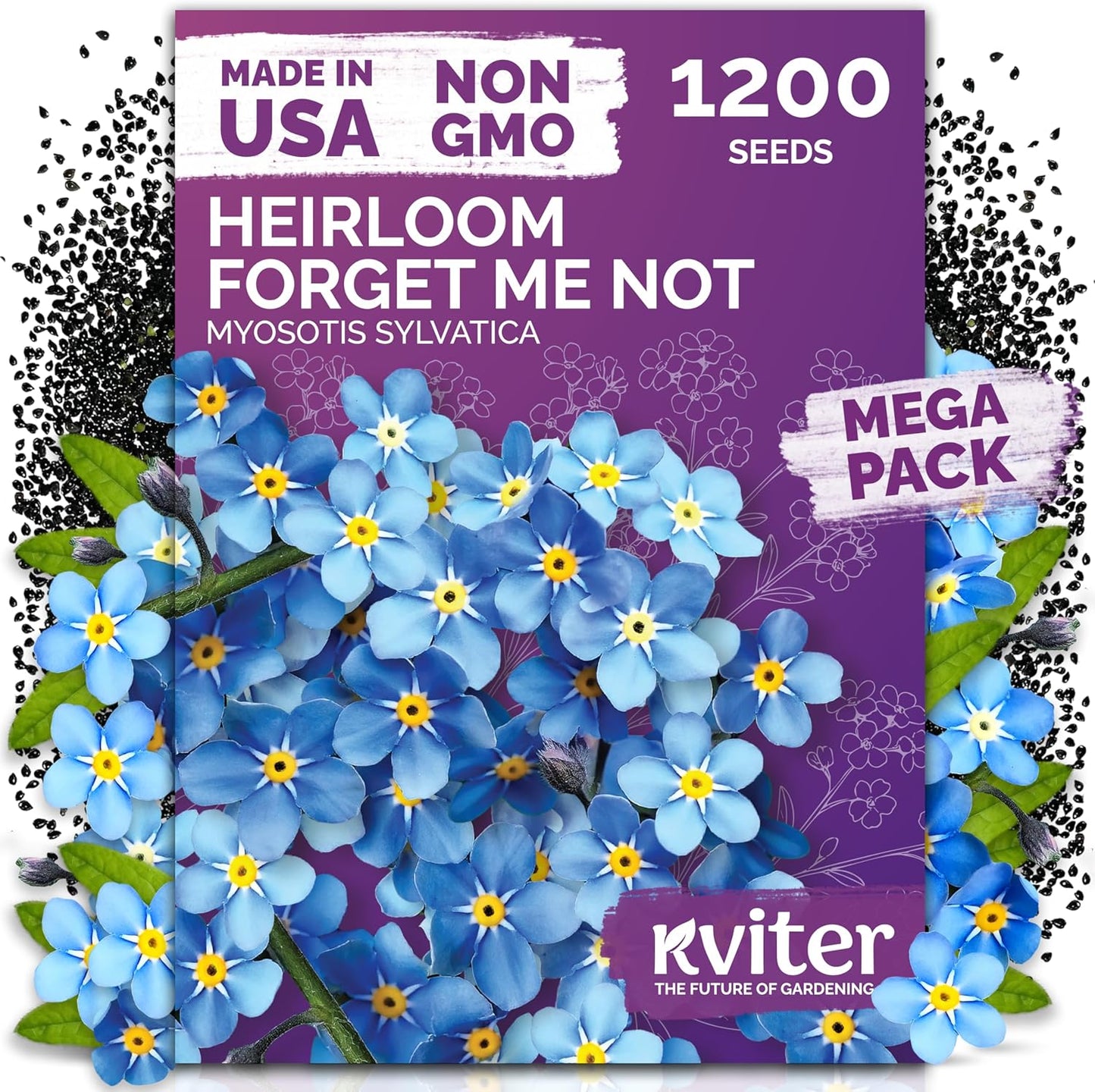 KVITER 1200 Forget Me Not Seeds - Charming Blue Spring Flowers for Shady Gardens | Easy to Grow Ground Cover
