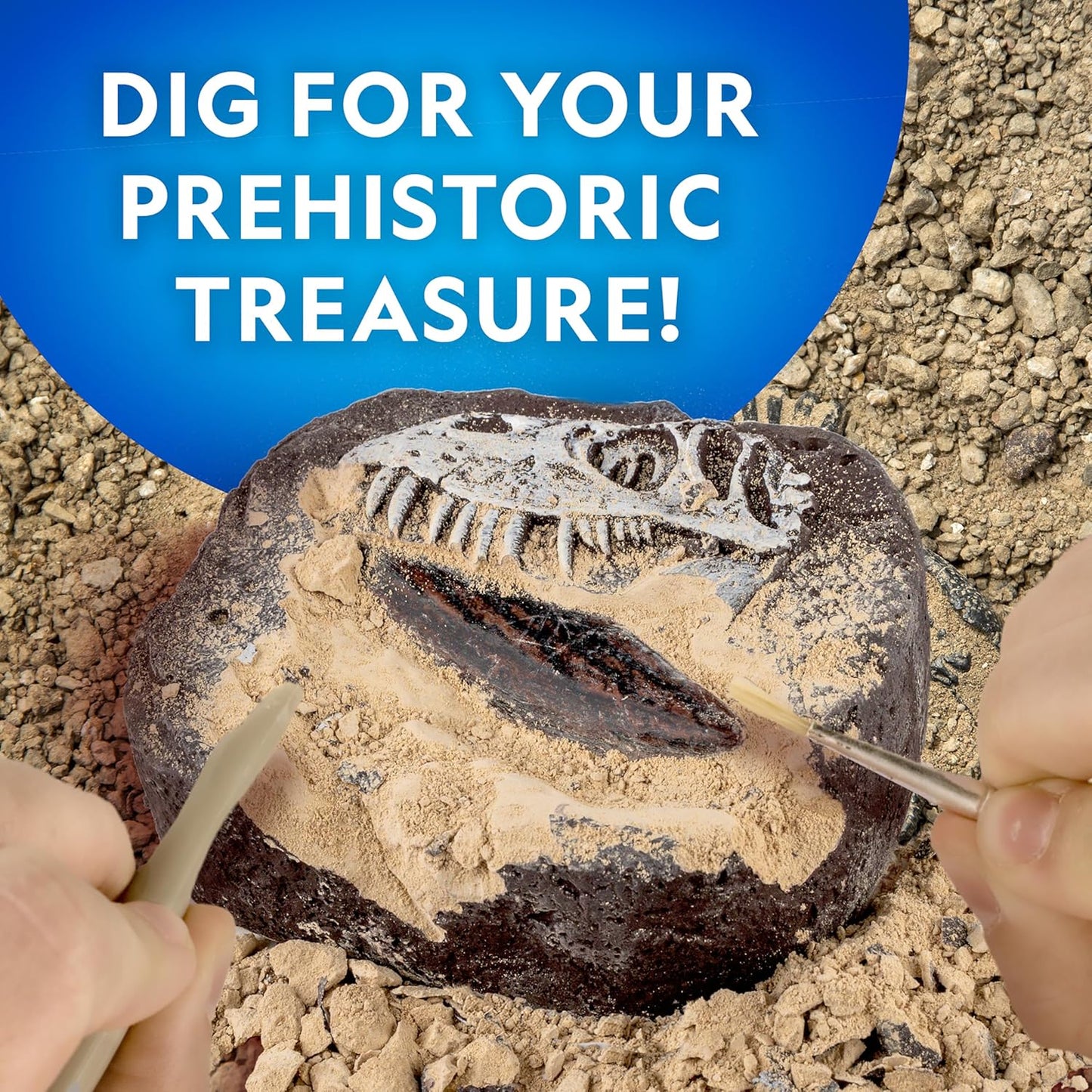 National Geographic Dino Fossil Dig Kit - Excavate Dinosaur Tooth Fossil & Explore Paleontology with Activity Book for Kids