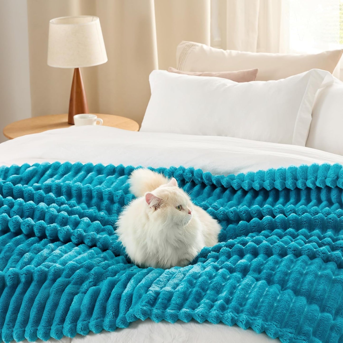 Bedsure GentleSoft Fleece Blanket - Cozy Teal Throw for Couch, Perfect for Women & Girls, 108x90 Inches