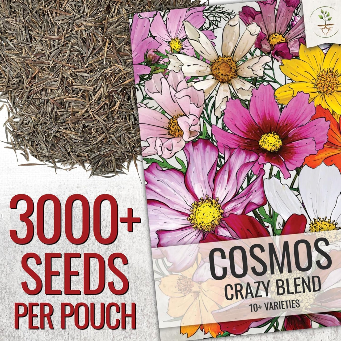 Seed Needs Cosmos Flower Seeds - Crazy Blend of 10+ Varieties | Open Pollinated & Untreated | Resealable Packaging