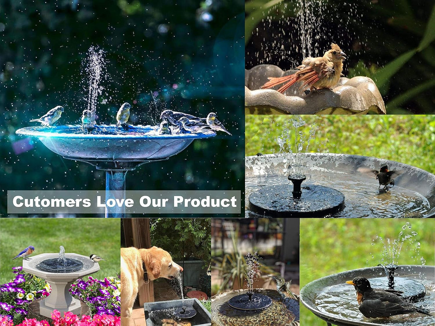 Solatec Solar Powered Fountain Pump - 1.4W Outdoor Bird Bath Water Pump for Garden & Pond
