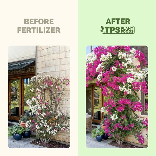 Bougainvillea Fertilizer - Liquid Plant Food for Vibrant Blooms & Lush Growth | 8 oz
