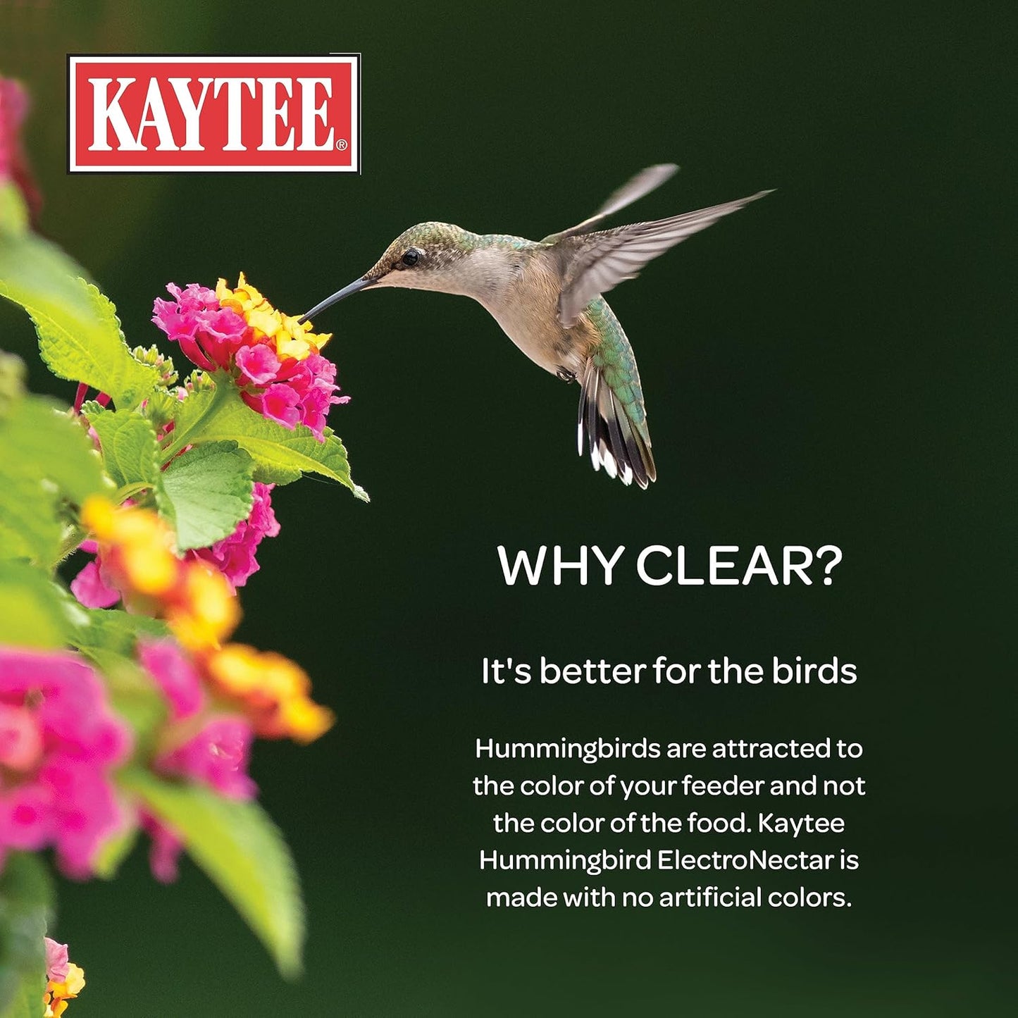 Kaytee Hummingbird ElectroNectar - Wild Bird Food Concentrate, 16 oz (Makes 128 oz) - 2 Pack