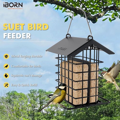 iBorn Suet Feeder - Squirrel-Proof Hanging Bird Feeder with Weatherproof Metal Roof | Black, 1 Pack