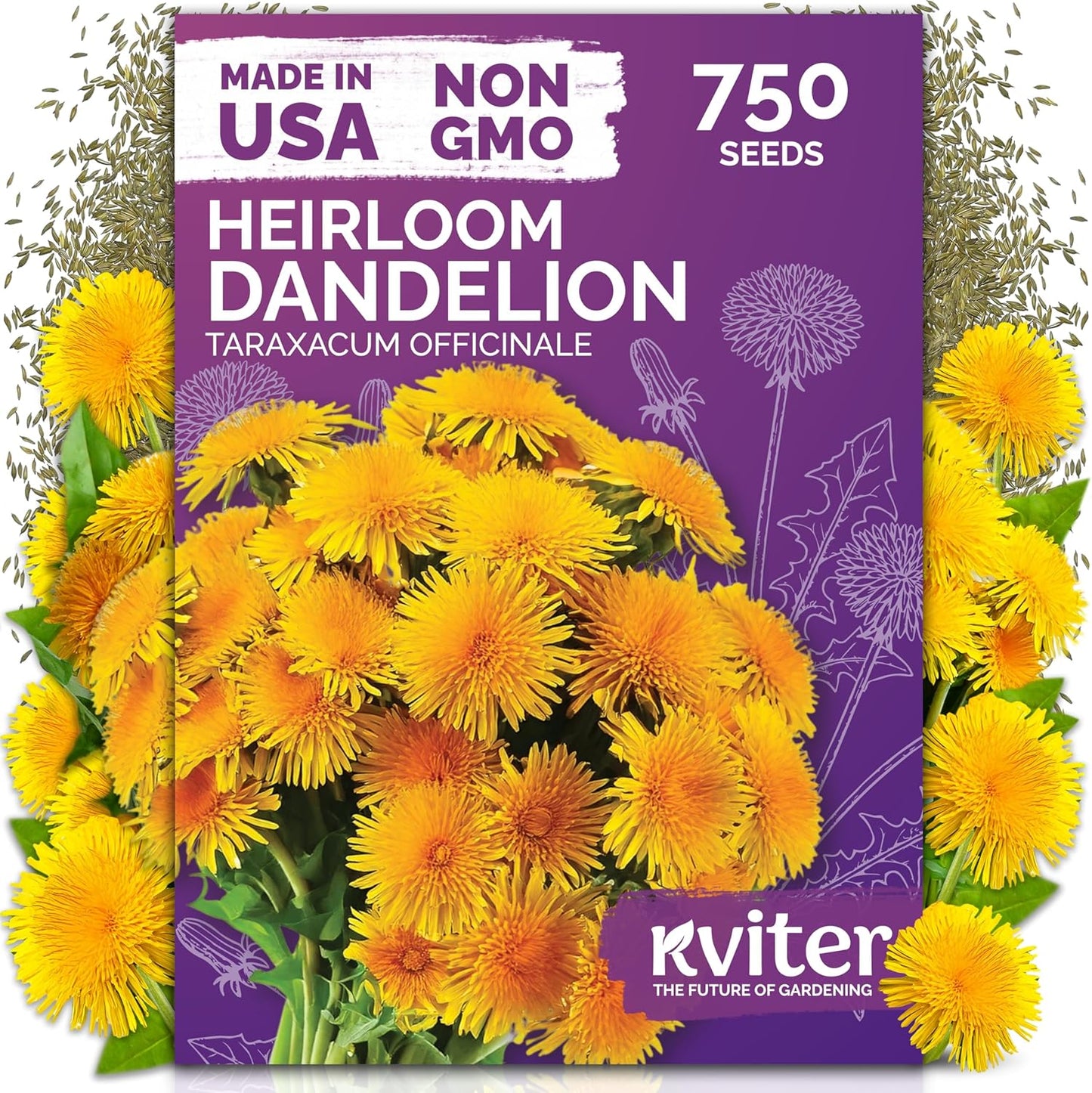 KVITER Dandelion Seeds - Edible Taraxacum Officinale for Indoor & Outdoor Herb Gardens | 750 Seeds