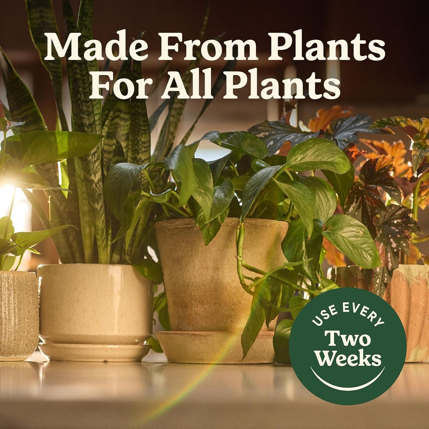 Miracle-Gro Organic Indoor Plant Food - Liquid Fertilizer for Houseplants & Herbs | 8 fl. oz. (2-Pack)