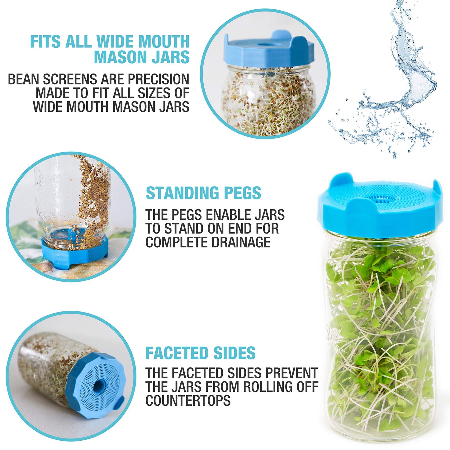 Masontops Bean Screen Sprouts Growing Kit - Sprouting Lids & Sprout Mixes Microgreens Growing Kit - Sprouting Kit Wide Mouth Mason Jar Strainer Lid