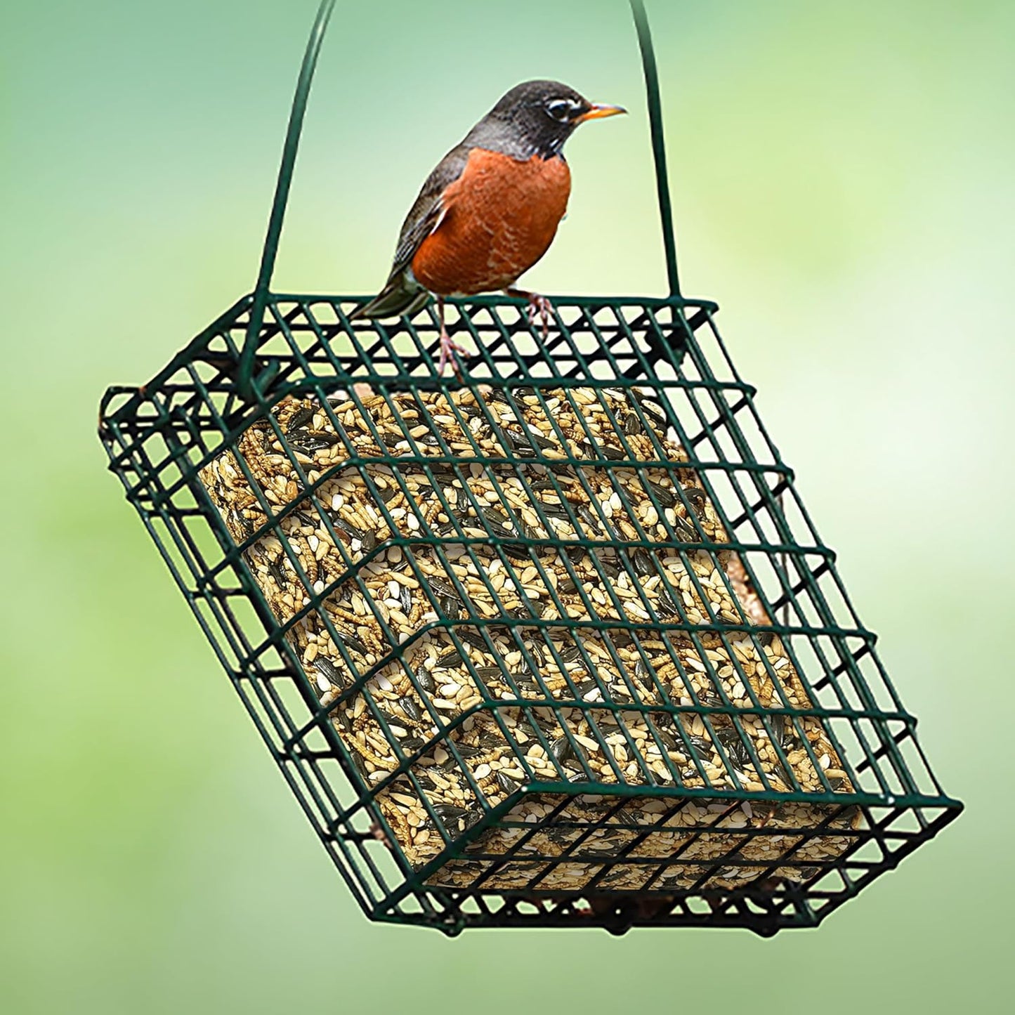 Kaytee Wild Bird Seed - Nutritious Mealworm Seed Cake for Bluebirds & Chickadees | 1.4 Pound