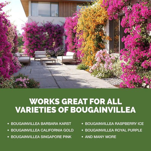 Bougainvillea Fertilizer - Liquid Plant Food for Vibrant Blooms & Lush Growth | 8 oz