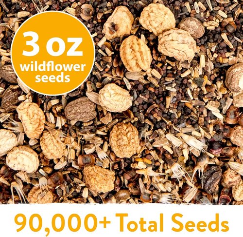 Home Grown Wildflower Seeds Mix - 90,000+ Non-GMO Perennial Seeds for Butterflies & Pollinators | 3oz, 24 Varieties