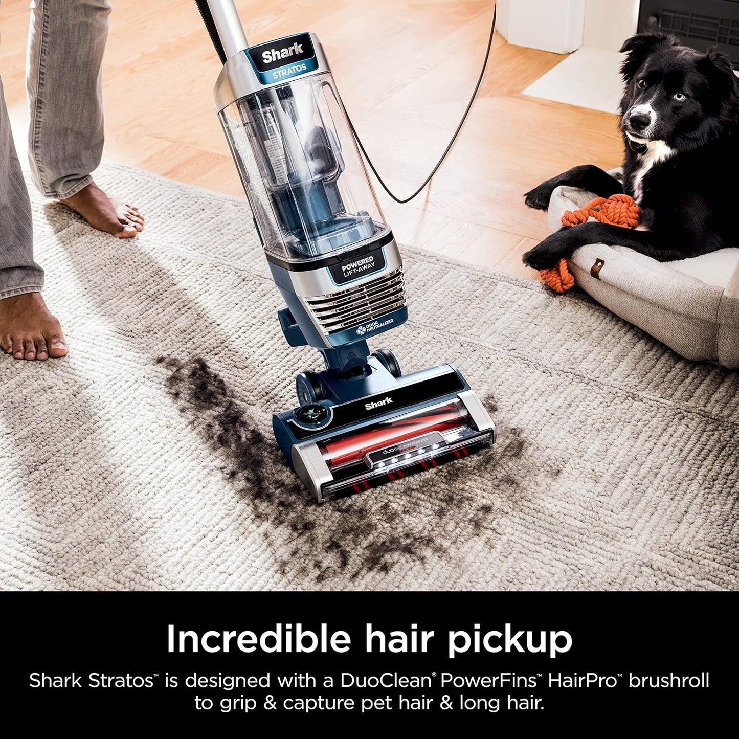 Shark Stratos Upright Vacuum - DuoClean PowerFins & HairPro | Self-Cleaning Brushroll, Navy AZ3002