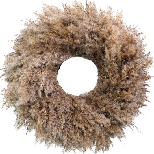 Natural Pampas Grass Wreath, 20'' Real Pampas Wreath for Front Door, Boho Wall Decor, Farmhouse Style, DIY Wreath Arrangement, Feather Wall Decor
