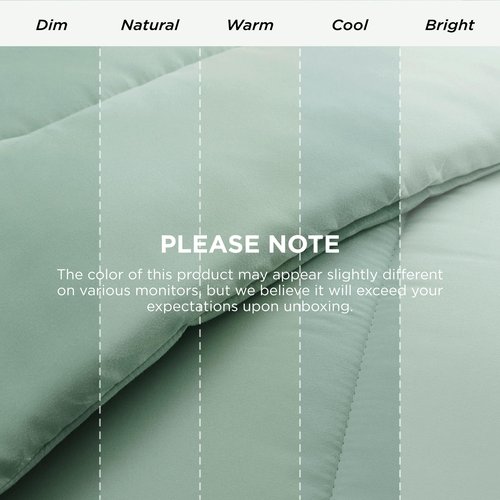 Bedsure Comforter Duvet Insert - Quilted Comforters Queen Size, All Season Duvet, GentleSoft™ Down Alternative Bedding, with 8 Tabs, Gifts for Women/Men, Sage Green, Queen 88 x 88 Inches