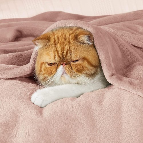 Bedsure GentleSoft Fleece Throw Blanket - Dusty Pink 300GSM Cozy Plush Blanket for Couch & Bed, 50x60 Inches