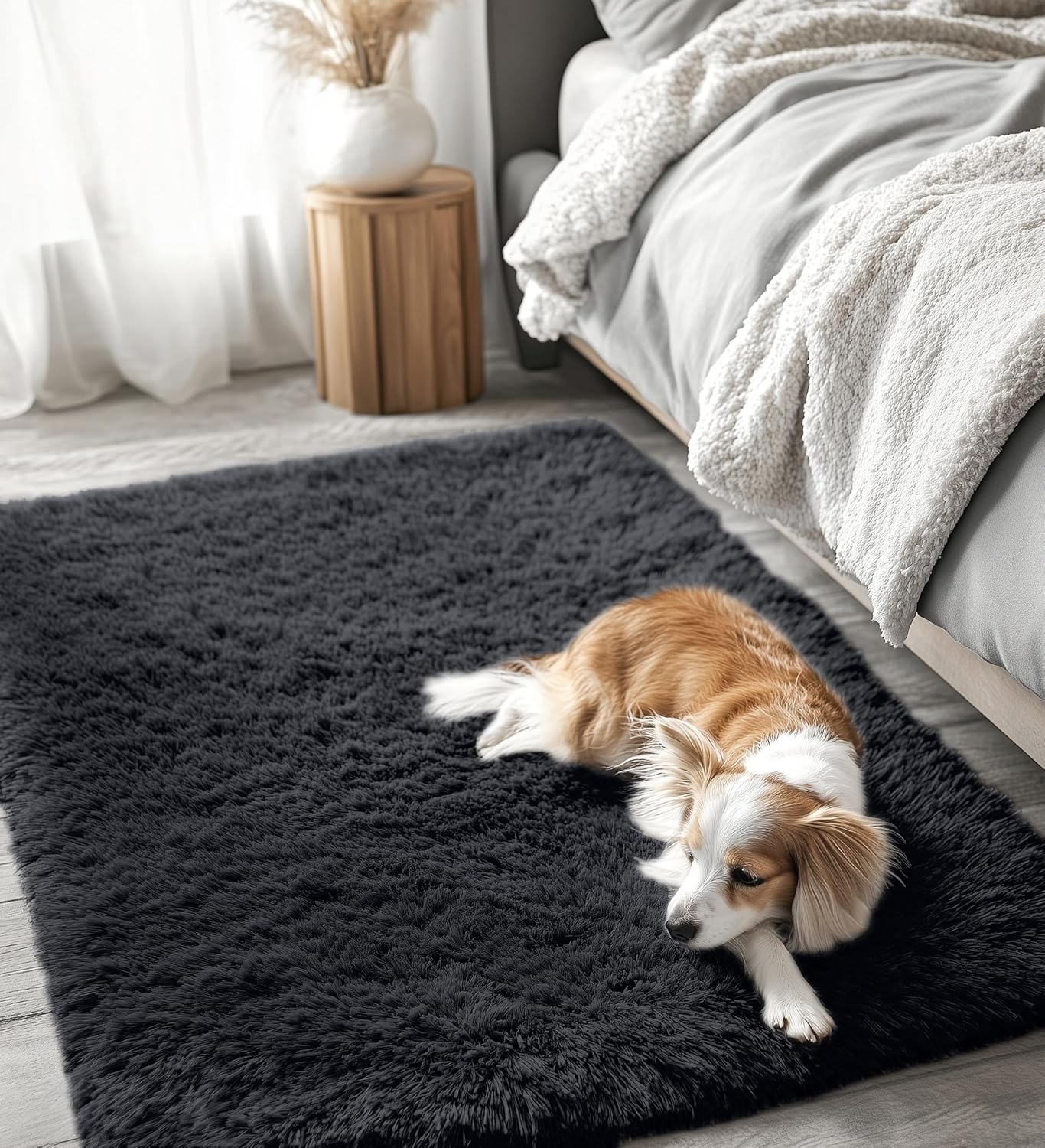 OLANLY 3x5 Soft Fluffy Shaggy Rug - Machine Washable Indoor Carpet for Living Room & Bedroom | Black