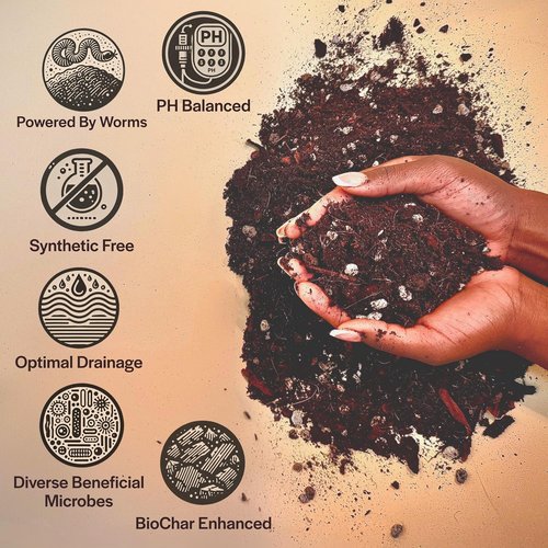Craft Aroid Potting Mix - Elite Organic Soil for Alocasia, Philodendron & Monstera | Well-Draining, Peat-Free 4QT