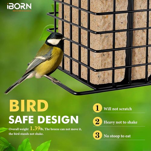 iBorn Suet Feeder - Squirrel-Proof Hanging Bird Feeder with Weatherproof Metal Roof | Black, 1 Pack