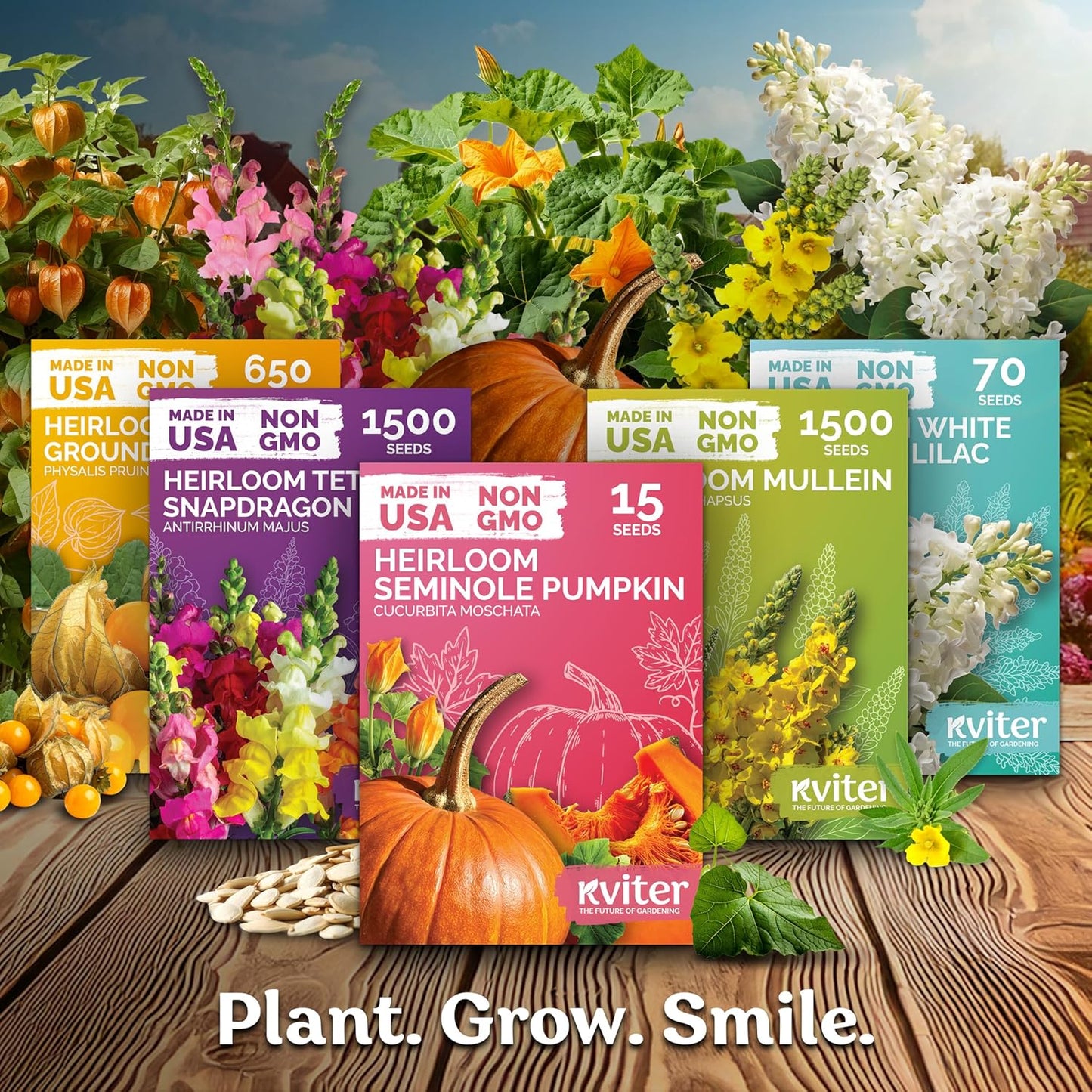 KVITER 550 Purple Coneflower Seeds | Echinacea Purpurea Herb Flower Seeds for Medicinal Gardens - Pollinator-Friendly