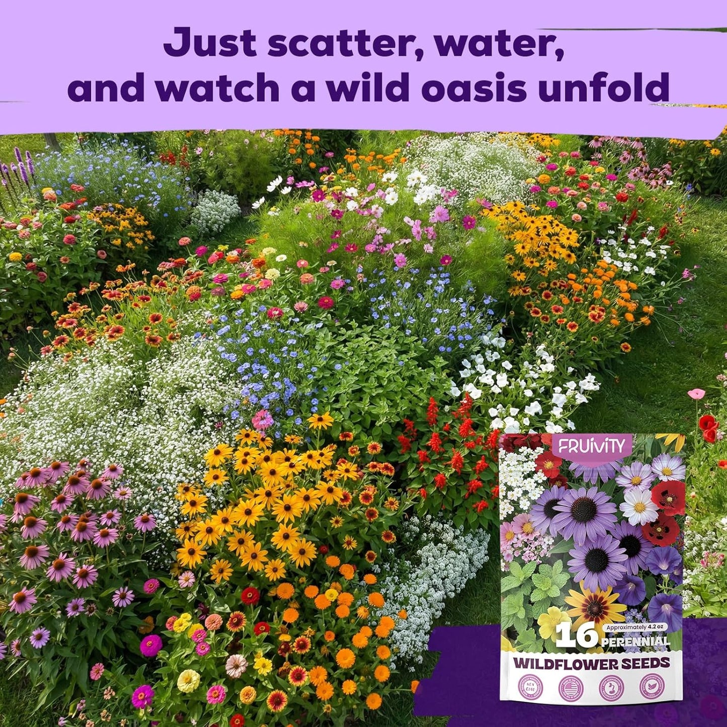 Wildflower Seeds Bulk by [Brand Name] - 200,000+ Non-GMO Heirloom Seeds Mix | 16 Varieties for Pollinator Garden