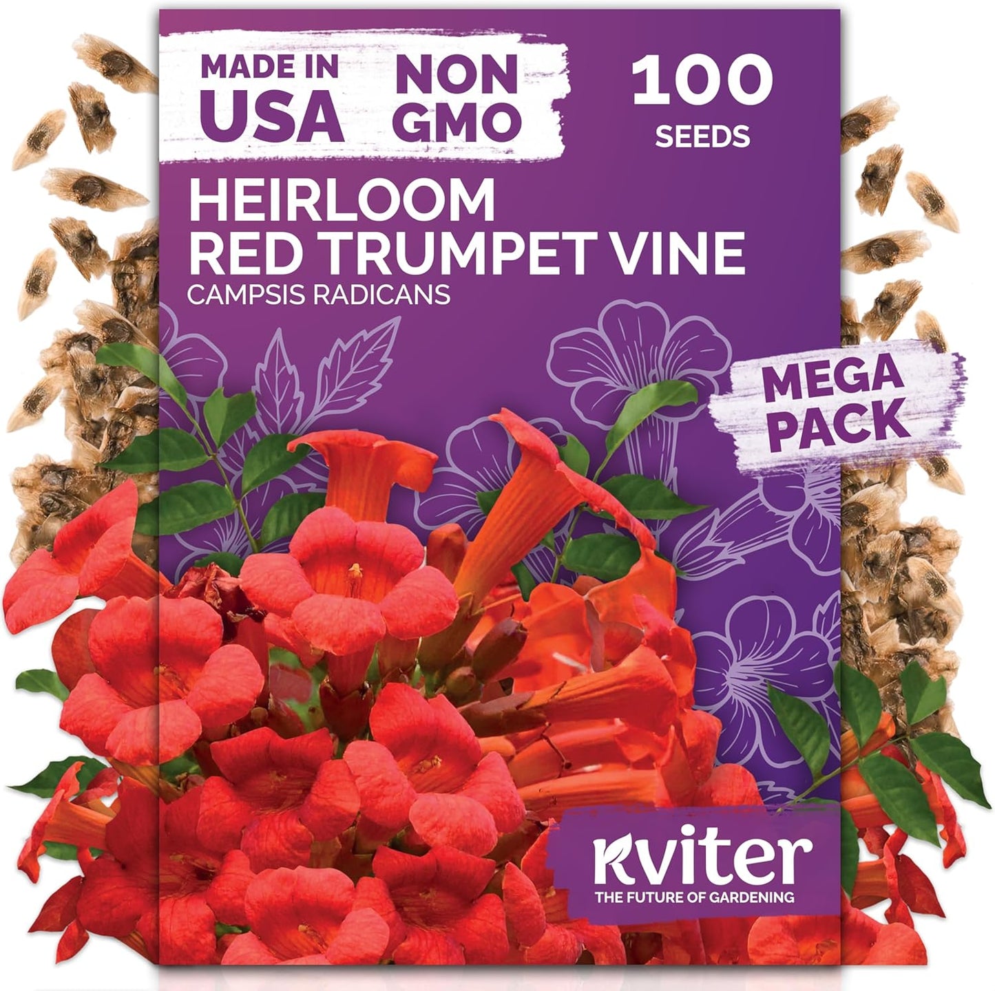 KVITER Red Trumpet Vine Seeds - Organic & Heirloom Hummingbird Creeper (Campsis Radicans) - Perennial Flower for Fences & Trellises