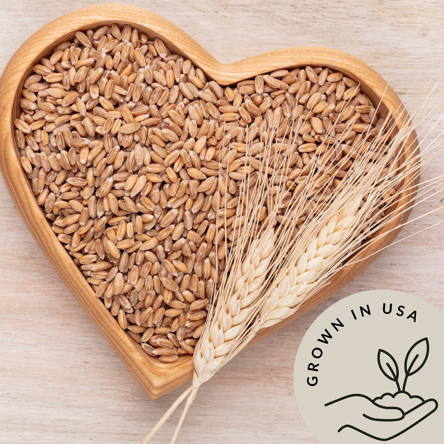Be Still Farms Einkorn Farro Grain Organic (4.8 lb) - Einkorn Wheat Berries Bulk Whole Ancient Grains - Ideal for Soup, Flour, Bread - High in Fiber | USA Grown | USDA Certified | Vegan | Non-GMO
