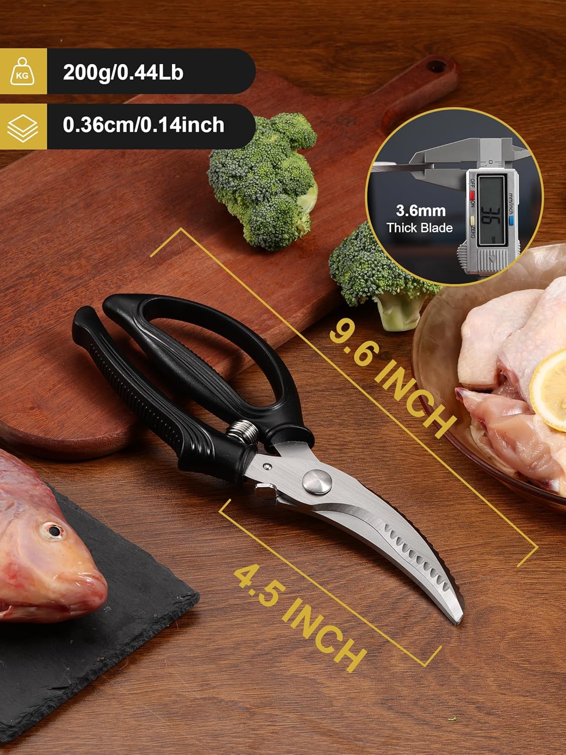 Regine Switzerland Poultry Shears - Heavy Duty Kitchen Scissors with Anti-Slip Handle | Dishwasher Safe