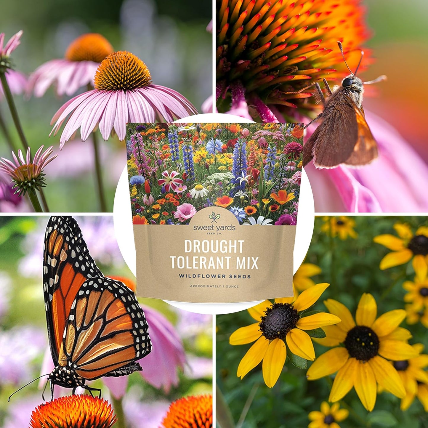 Wildflower Seed Mix by Drought Tolerant - Extra Large Packet with 7,500 Non-GMO Seeds - 21 Dryland Species