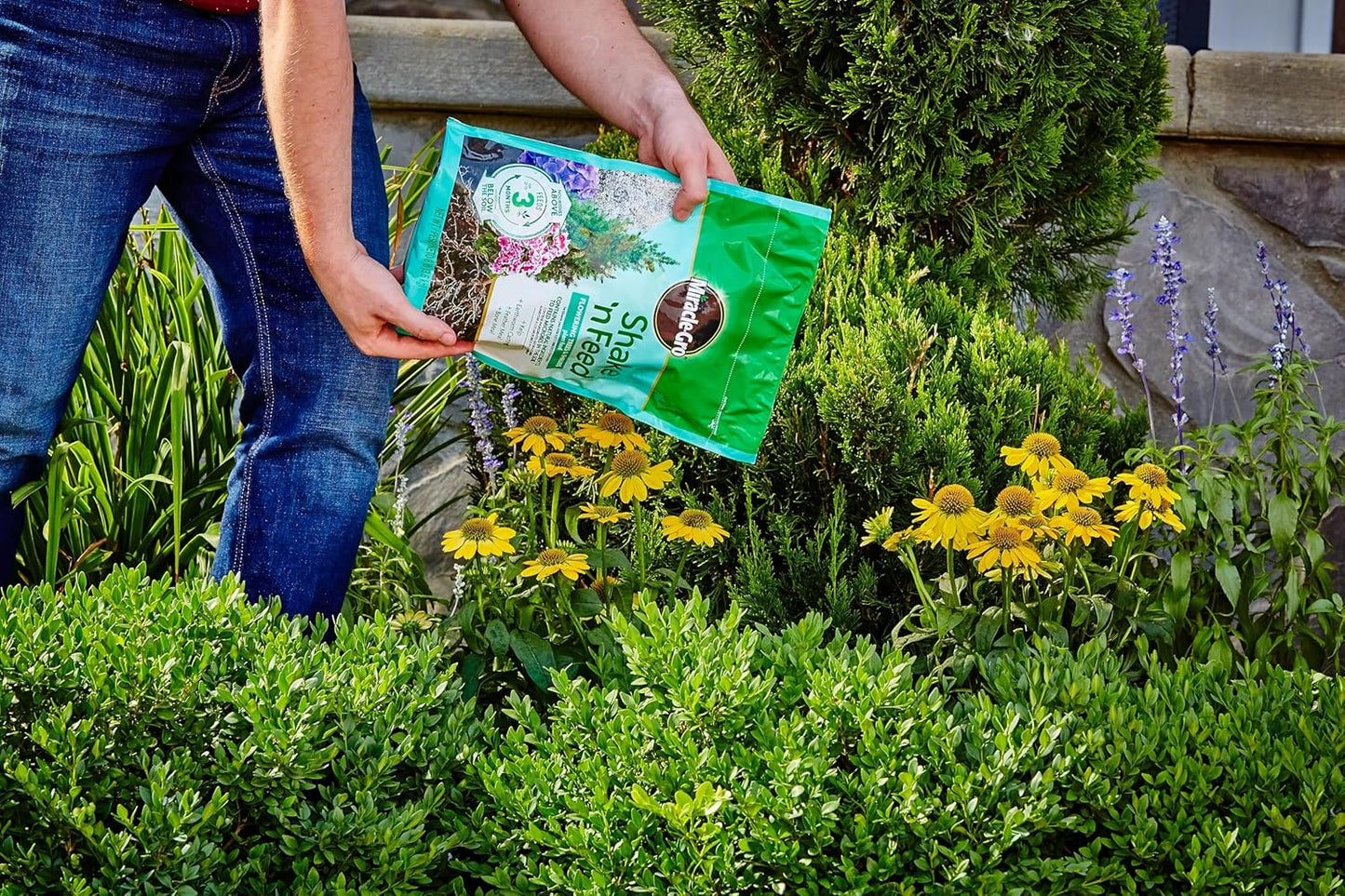 Miracle-Gro Shake 'N Feed Plant Food - Nourishes Flowering Trees & Shrubs | 8 lbs for In-Ground & Container Plants