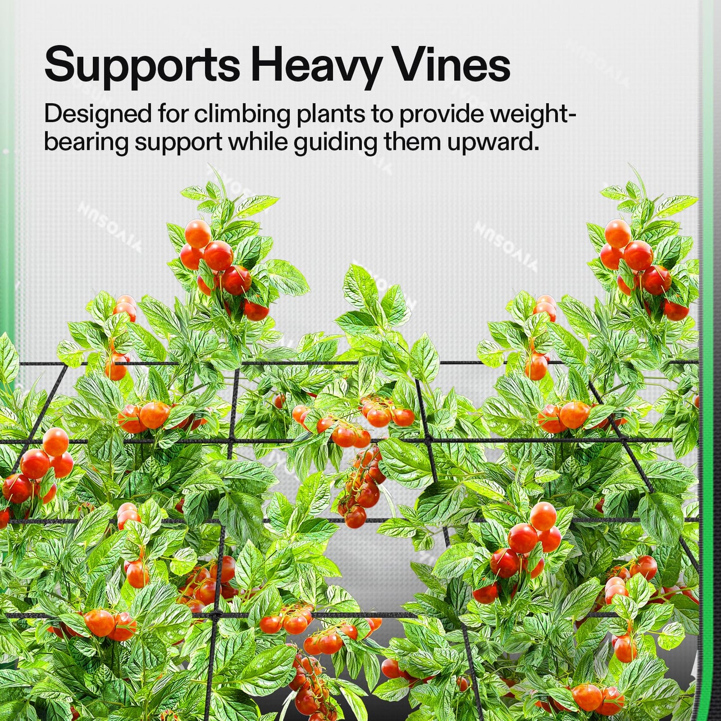 VIVOSUN 4 x 4Ft. Elastic Trellis Netting with 4 Hooks for Climbing Plants, Vegetables, Fruits, and Flowers, 1-Pack