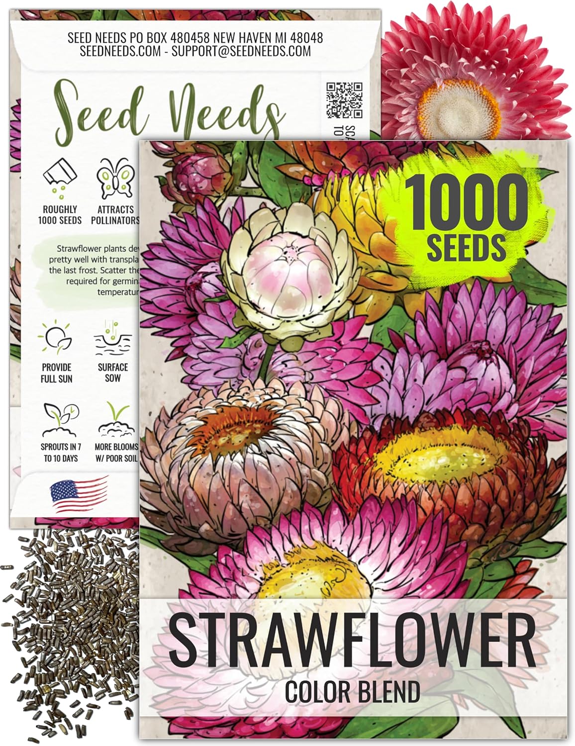 Seed Needs Strawflower Seeds - Heirloom Annual Flower Seeds for Colorful Butterfly Gardens | 1 Pack