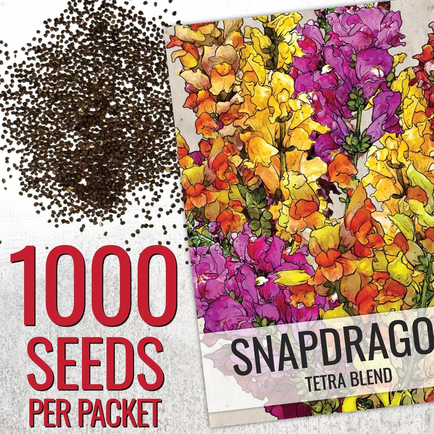 Seed Needs Mixed Tetra Snapdragon Seeds - 1,000 Heirloom Seeds for Butterfly Gardens | Annual Antirrhinum Majus
