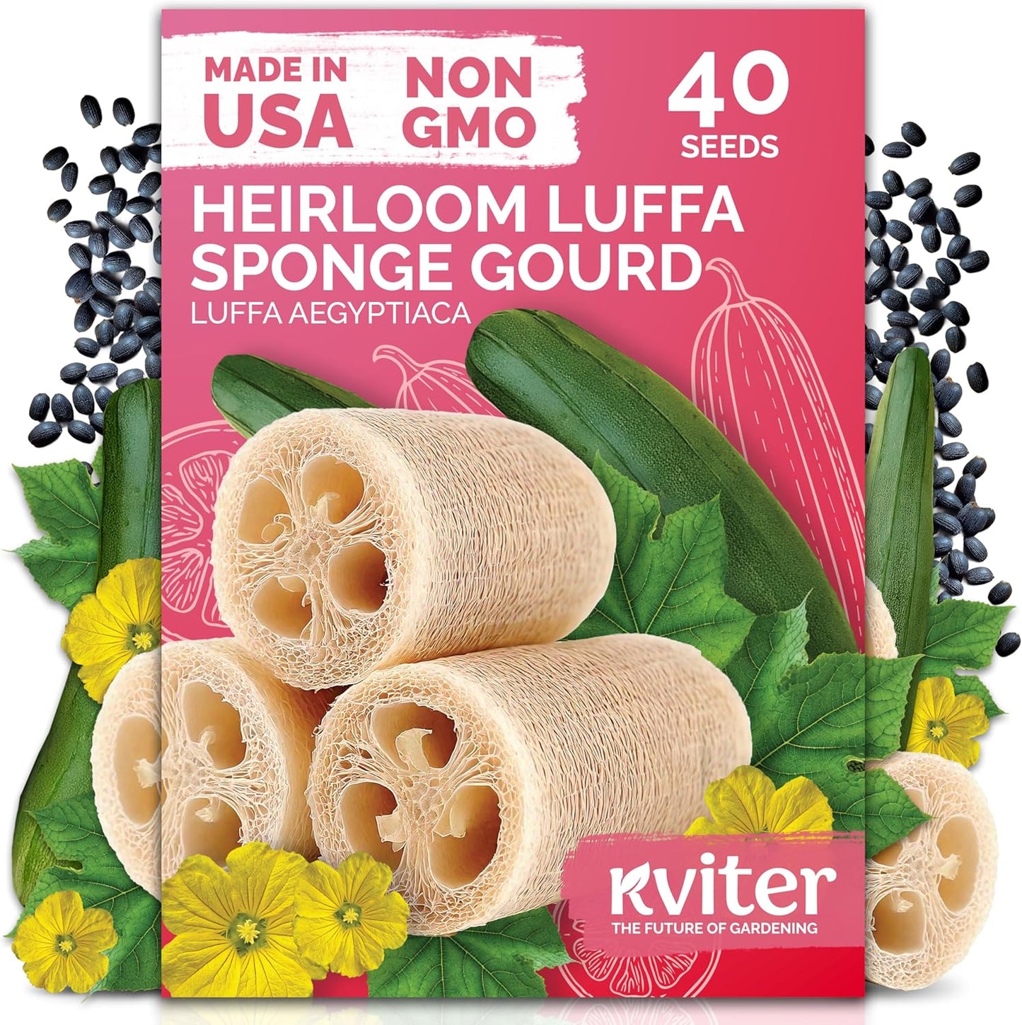 KVITER Luffa Seeds - Organic Heirloom Loofah Sponge Gourd Seeds for Home Gardening | 40 Count