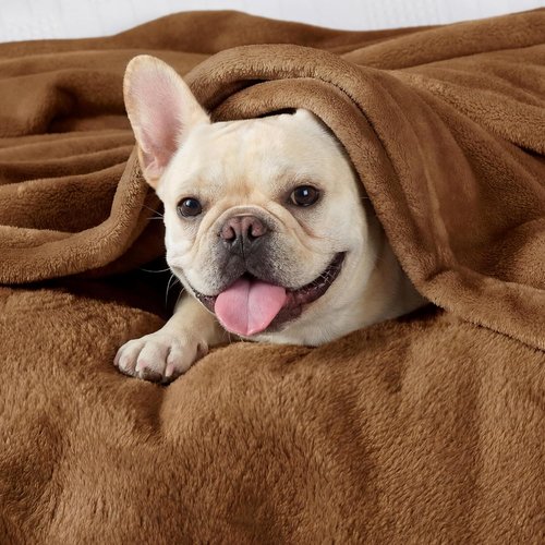Bedsure GentleSoft King Size Fleece Blanket - Soft, Lightweight Plush Microfiber in Brown, 108x90 Inches